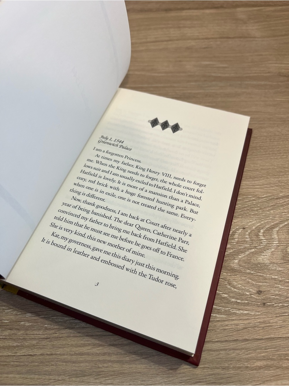 The Royal Diaries Elizabeth I Red Rose House of Tudor Kathryn Lasky Hardcover - Picture 11 of 12